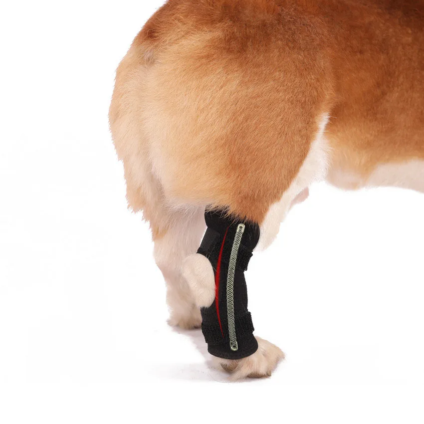 Hot Selling Recovery Protector Dog Leg Sleeve Dog Knee Brace Neoprene Dog Leg Brace for Hind Legs