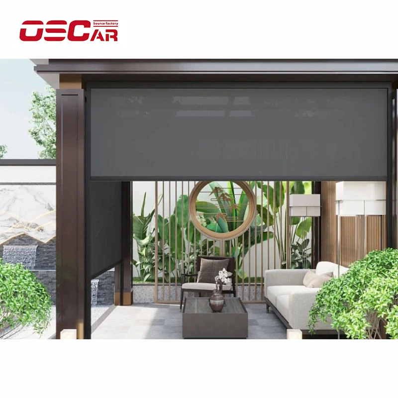 Gardens Smart Sunscreen Roller Blind Fabric Blackout Remote Control Motorized Tubular Motor for Windows
