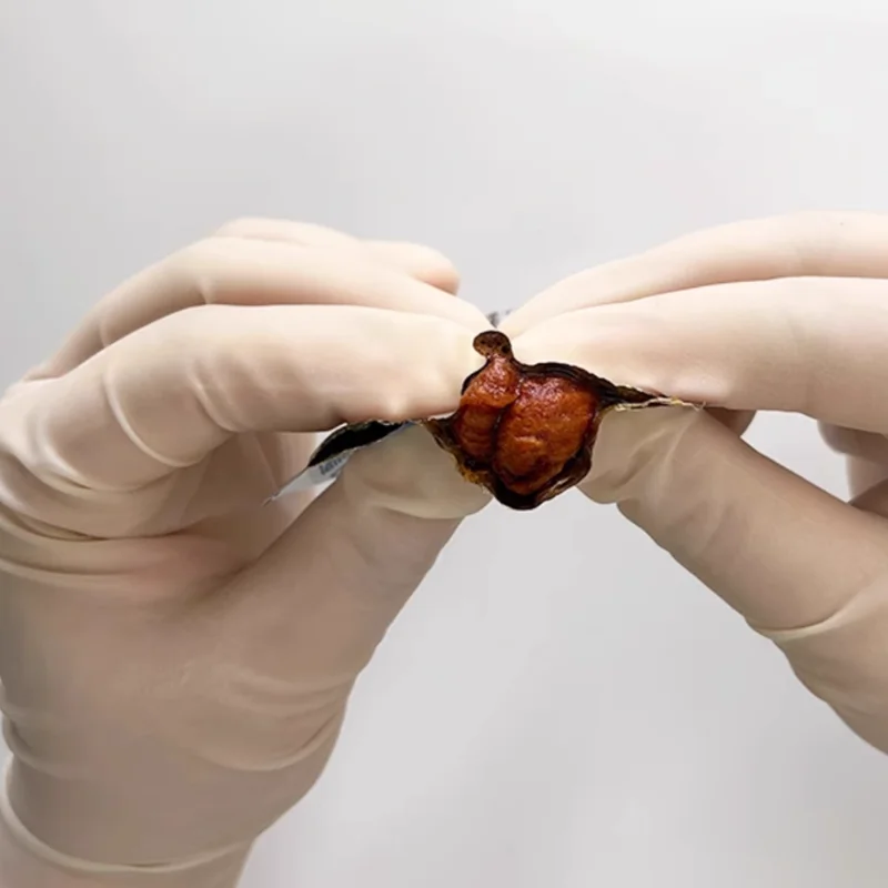 High-quality 100% cotton disposable surgical medical 0.5g cotton ball sterile cotton ball