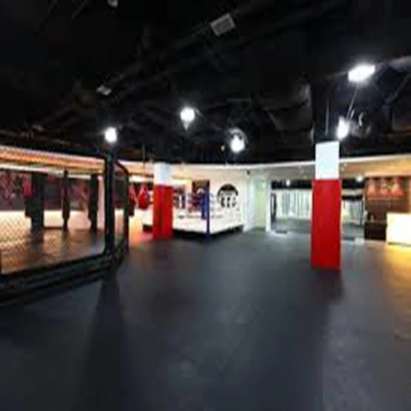 Dollamur & Flexi-Roll  Taekwondo Mat Tatami Karate Flooring Judo Mat Dojo Floor Mat