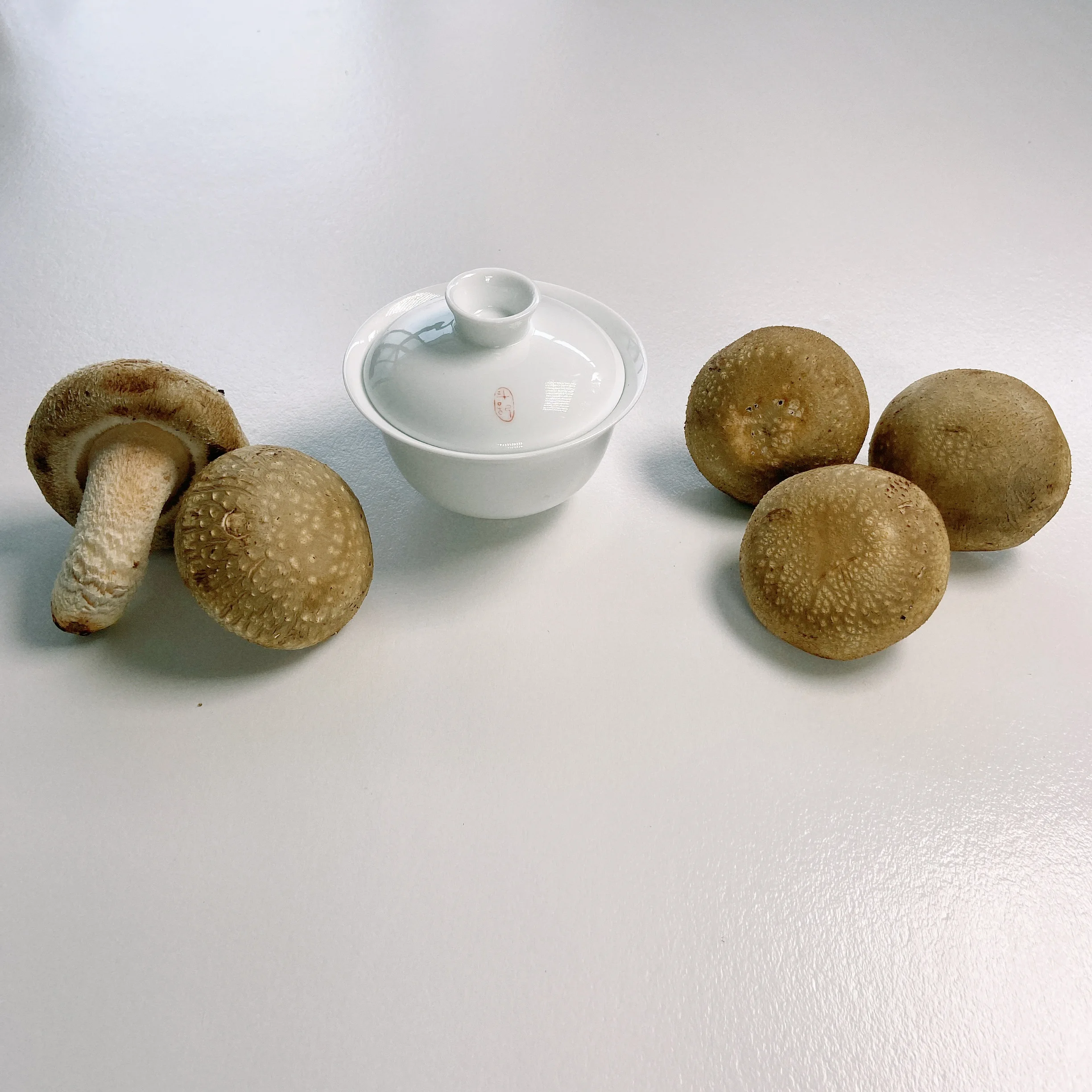 The Fine Quality Mushrooms Fresh Price Shiitake Mushroom For Supermarket