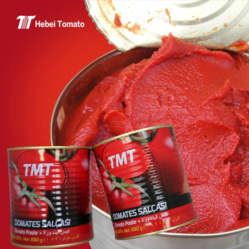Tin can hot sale tomato paste in canned from professional factory