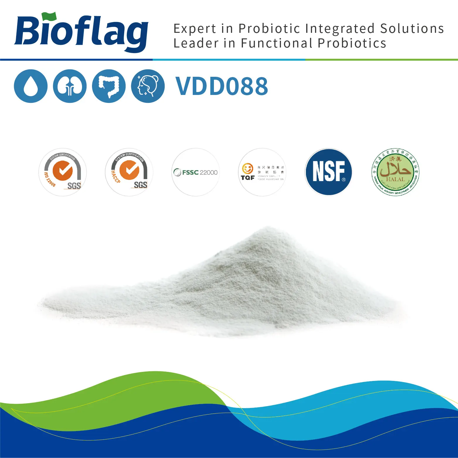
probiotics powder for glycemic control gut health Bifidobacterium bifidum VDD088 kidney protection 