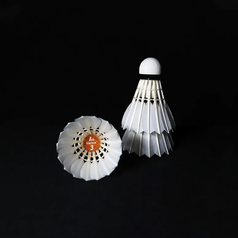 Popular Factory Sale Exercise Fitness Duck Feather Good Flight Badminton