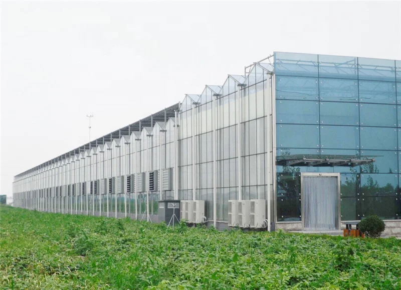 Wide Ecological Restaurant Greenhouse Polycarbonate Sheet