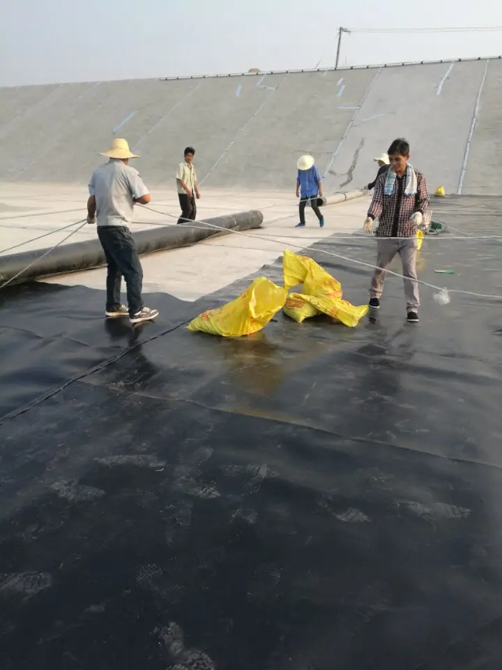 Pig farming biogas pond hdpe geomembrane HDPE geomembrane