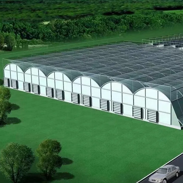 Agriculture Greenhouse Frame Multispan Vegetables Growing Tunnel Multi Span Film Greenhouse