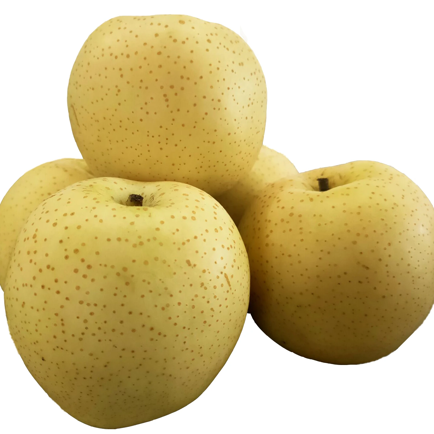 Chinese Fresh Yellow Ya Pear  10KG Shandong Type Variety 92# Top Grade  Fruit