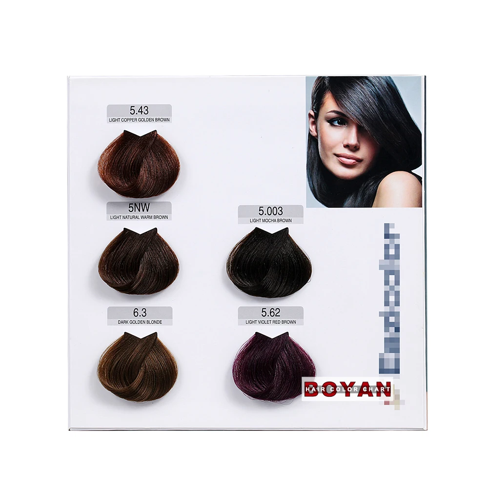 Color choice 2-page hair dye color swatch chart for hair cream