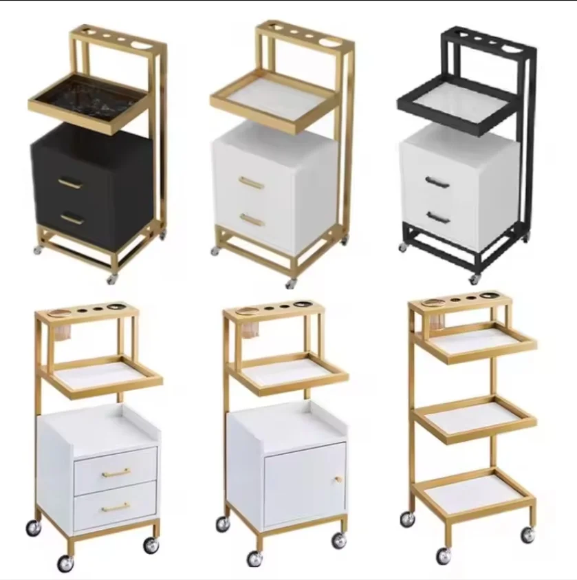Multi-level Storage Rolling Carts Layered Storage Hairdressing Trolleys  Salon/hair Salon Tool Cart Modern Salon Trolley