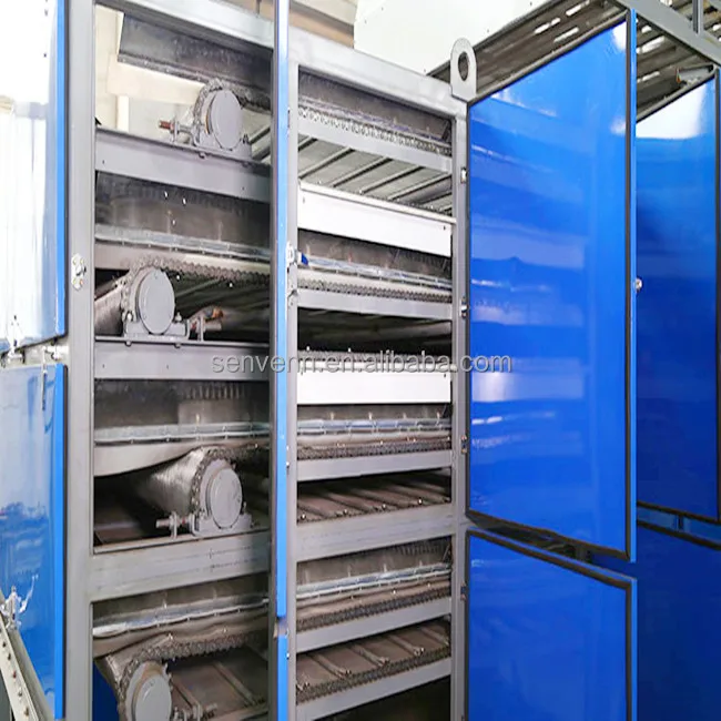 Mesh-Belt continuous Drying machine for Dehydrated vegetables and mango dryer