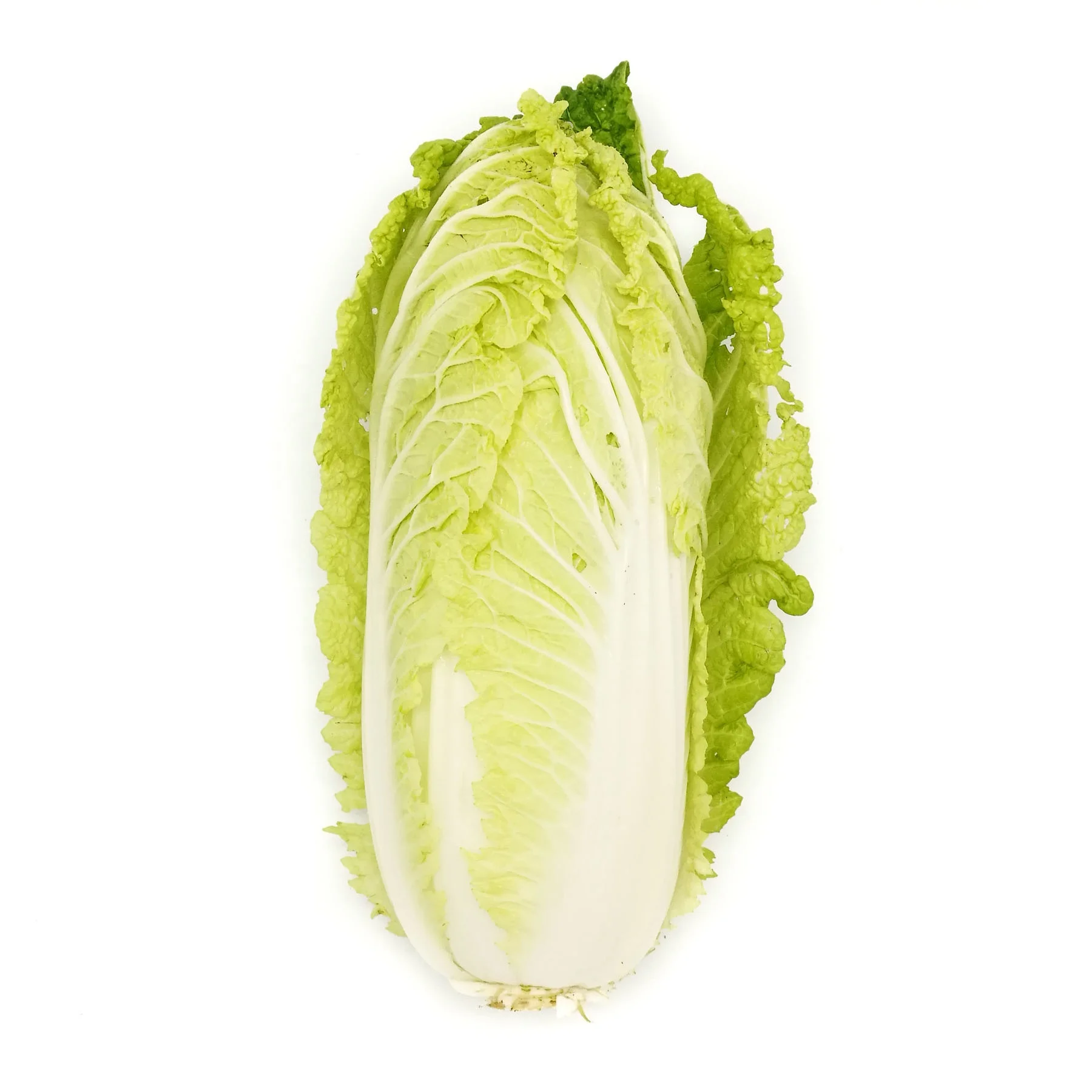 
Organic Cabbage New Harvest cabbage patch 2020 Chinese Baby Cabbage 
