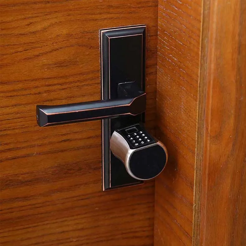 High Security Euro Standard Electronic BLE Smart Door Lock Cylinder Handle with TTlock App