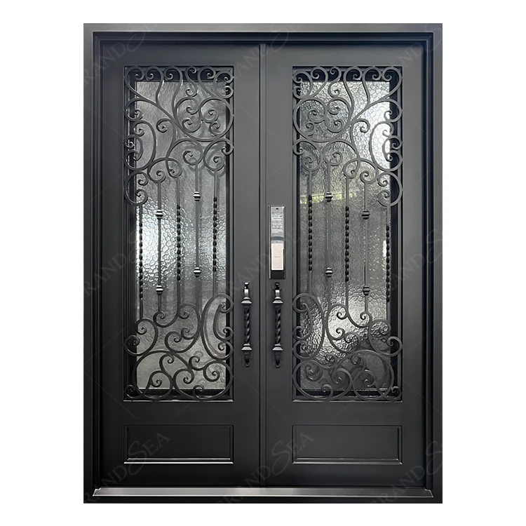 Face Recognition Electric Digital Smart Lock Main Front Entry Modern Design Exterior Double Wrought Iron Door for Houses Home
