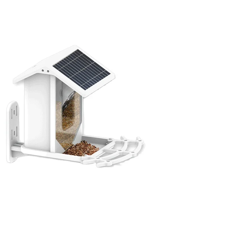 Outdoor wildlife monitoring camera bird remote viewing AI bird feeder captures pictures photos videos garden smart bird feeder
