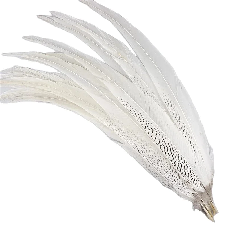 10-80CM-4-32-Natural-Silver-Pheasant-Tail-Feathers-for-Crafts-DIY-Decorations-Big-Lady-Amherst.jpg_Q90.jpg_.webp.jpg
