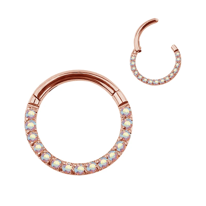 ASTM F136 Titanium Nose Rings Hinged Segment Rings Earrings Piercing Body Jewelry for Woman Man