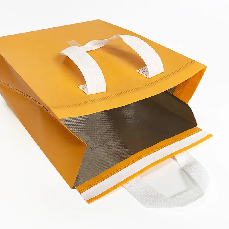 Disposable Thermal Insulated Cooler Bag Grocery Cool Carry Non Woven Lunch Cooler Bag for Food