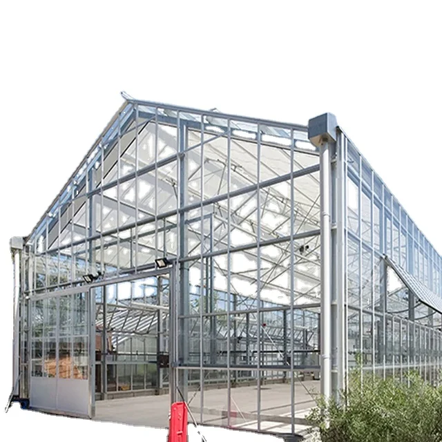 Economic Tunnel Plastic Greenhouse for Vegetable