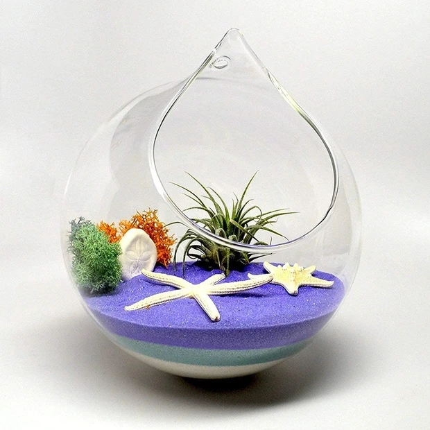 wholesale hanging glass terrariums terrarium glass vase glass plant terrarium