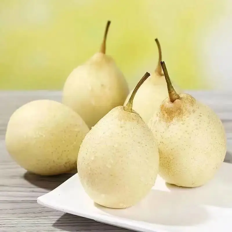 Fresh Fruit Shanong Su Pear,Local plant base directly supply