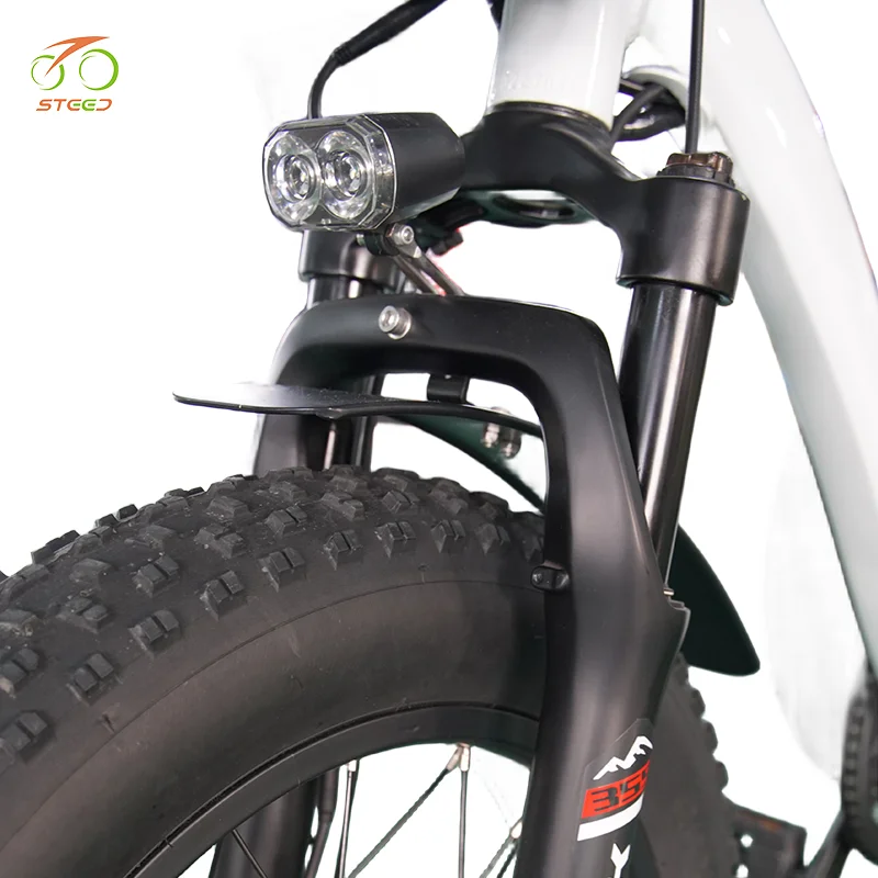 Steed 48 volt  battery cargo ebike 48v 3 wheels electric bike bicycle electric cargo