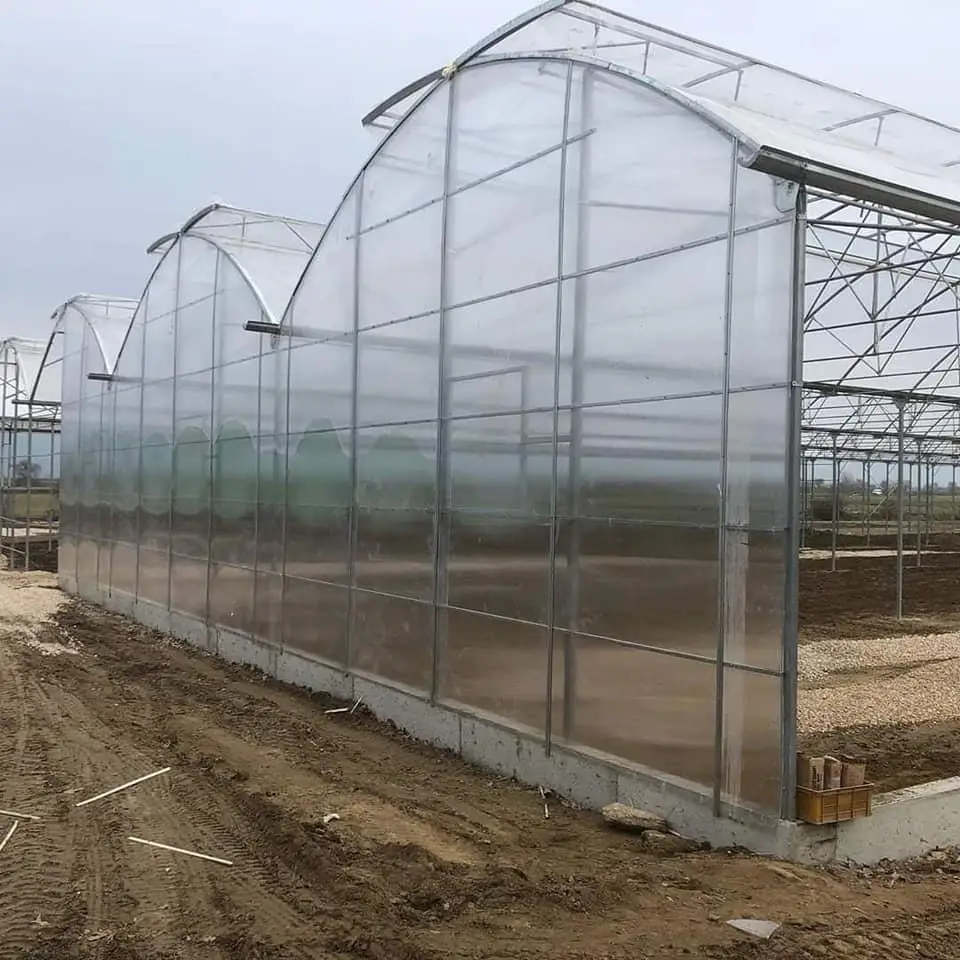 Лучший овощеводный поликарбонатный лист теплицы SUNSGH теплицы Китай