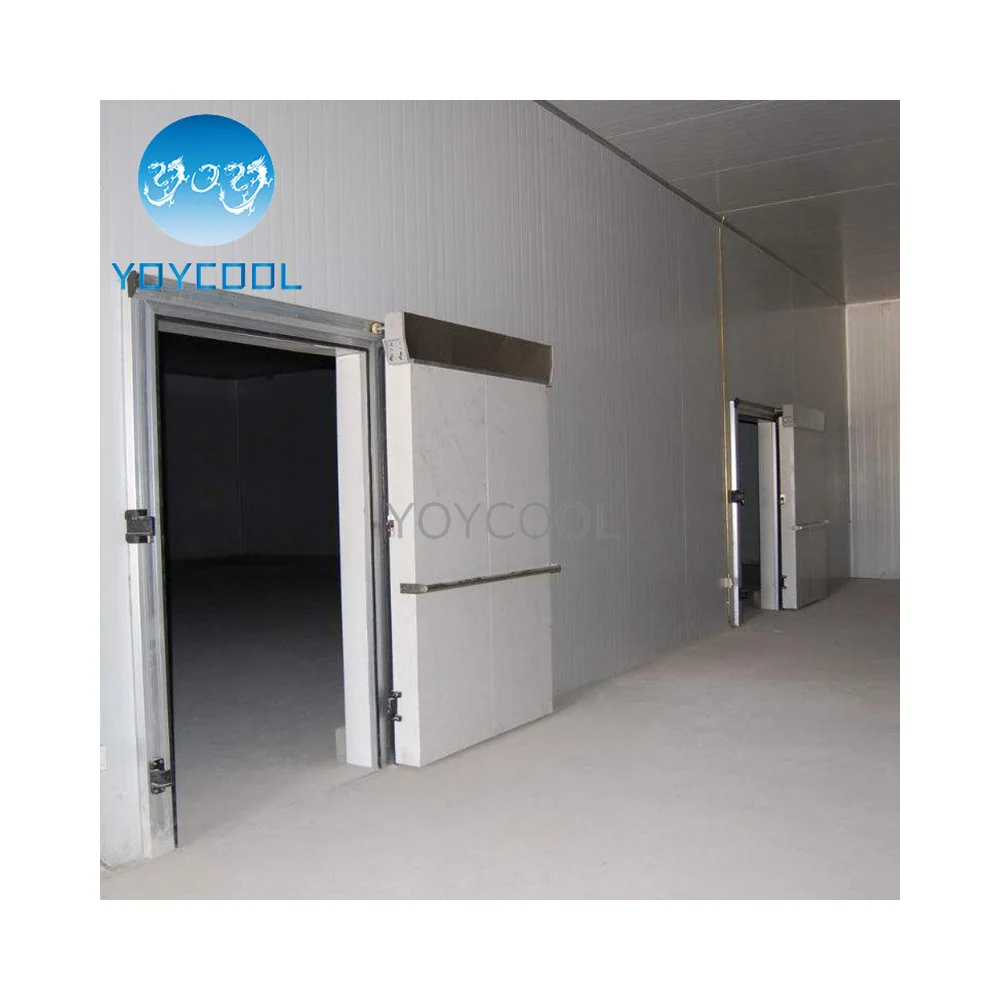 Industrial walk in freezer vegetable chiller cooler cold room