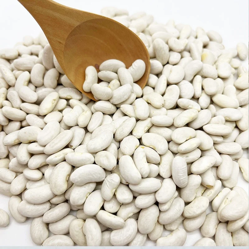 Large White Kidney Beans Hot Selling New Crop big White Kidney Beans Bulk Factory Price