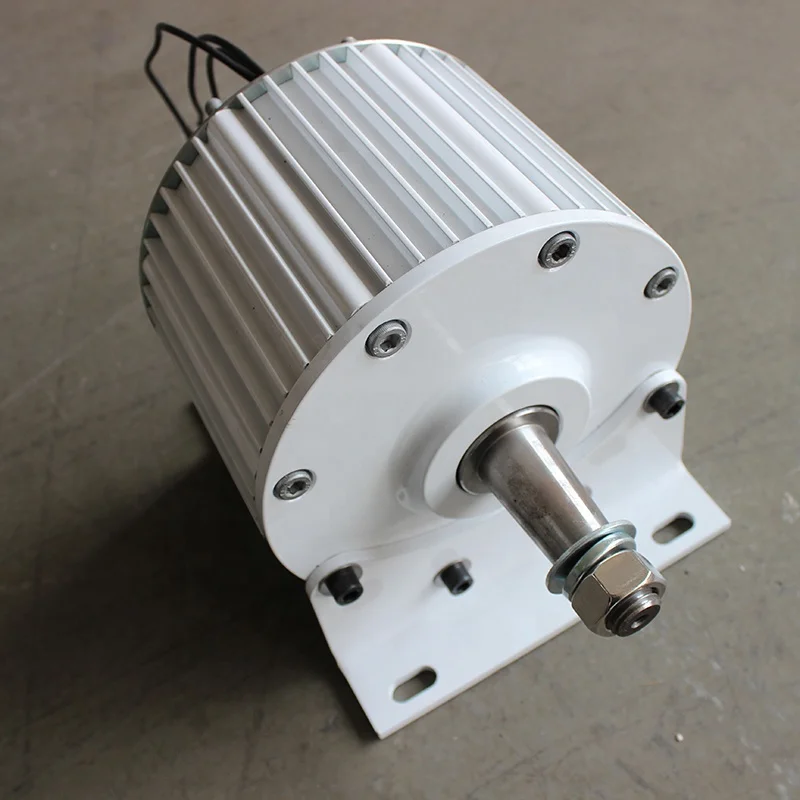 Overseas Warehouse Single Shaft 800W/1KW Free Alternative Energy with Excellent Quality Alternator Generator