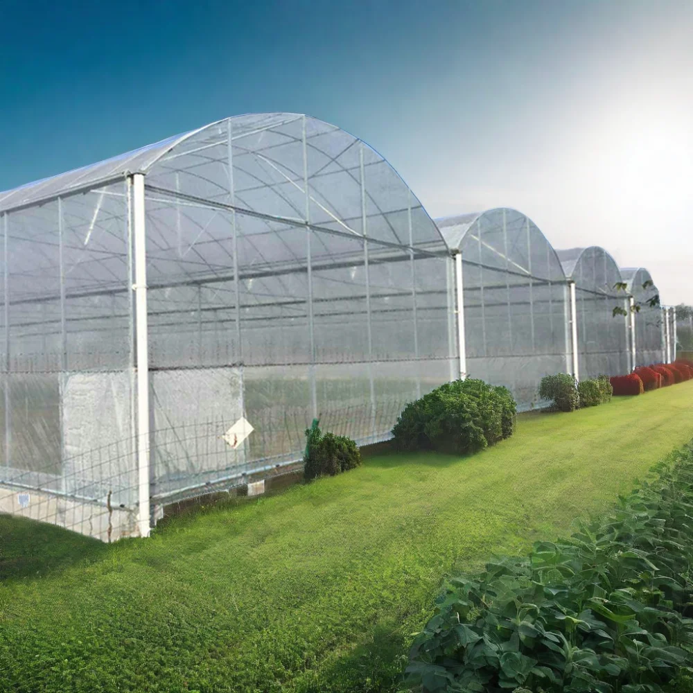 High Productivity Large Plastic Shed metal frame Motor-Ventilated Film Greenhouse