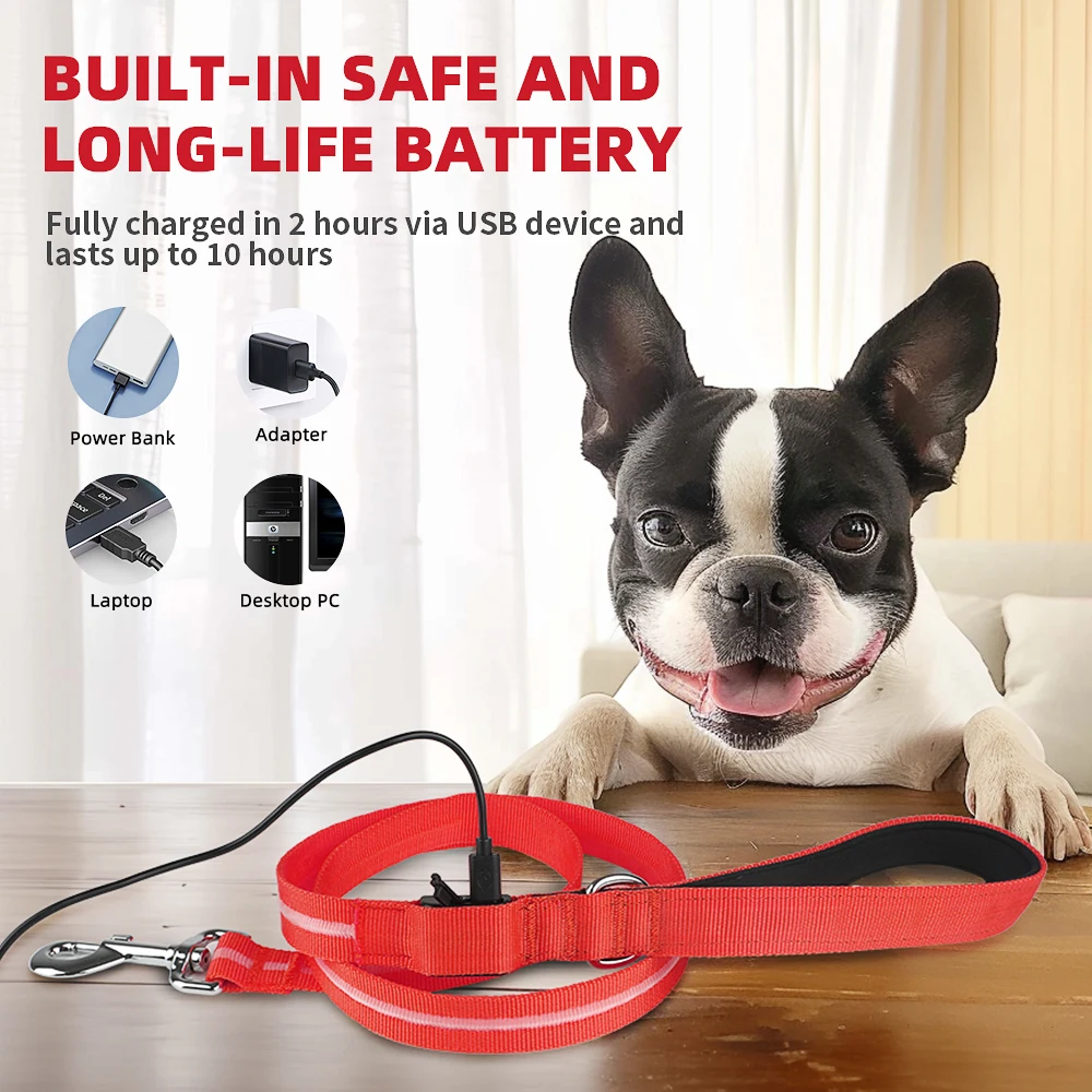 Pet Dog Night Walking Glow In The Dark Rope Leash Recharge Light Up Puppy Correa de perro Bright Flat LED Flashing Pet Leash