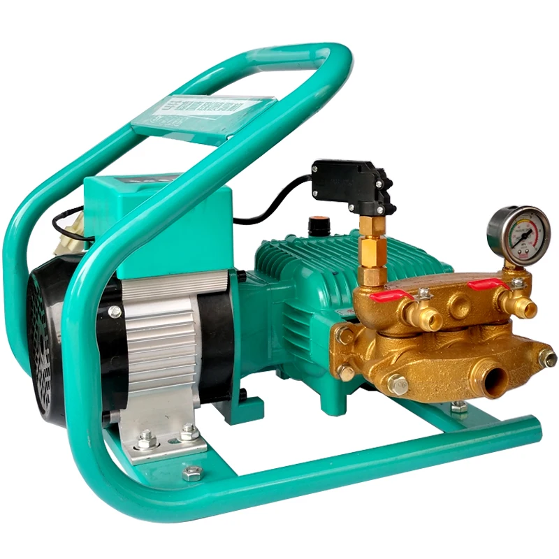 Electric Sprayer 48V 60V 500W BLDC Motor Agricultural Plunger Pump Sprayer