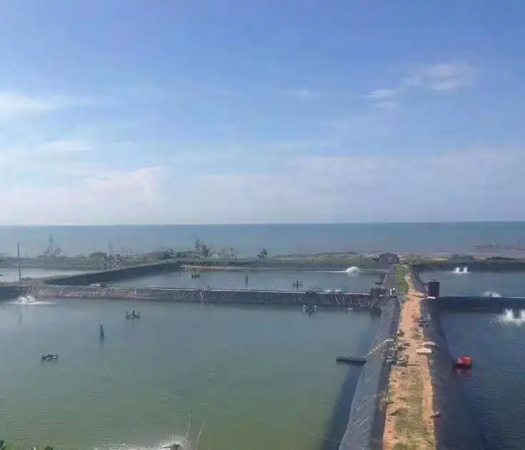 Hdpe Geomembrane PVC TPO Recycled Ldpe Sheet Sealer Rigid Shrimp Hdpe Pond Liner