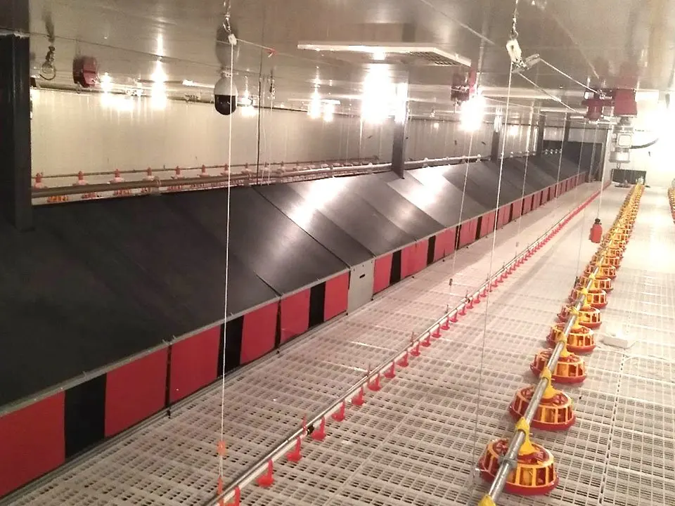 best price free sample plastic flooring for poultry chicken duck poultry slat floor