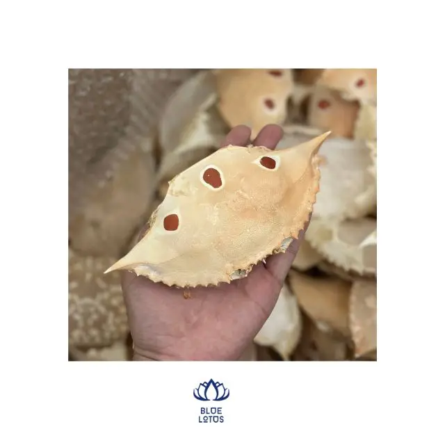 Dried Crab Shell for Cuisine Restaurant High Quality Export From Blue Lotus Vietnam