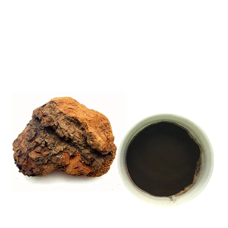 Hot selling New product Chaga mushroom extract powder 30% polyasccharides