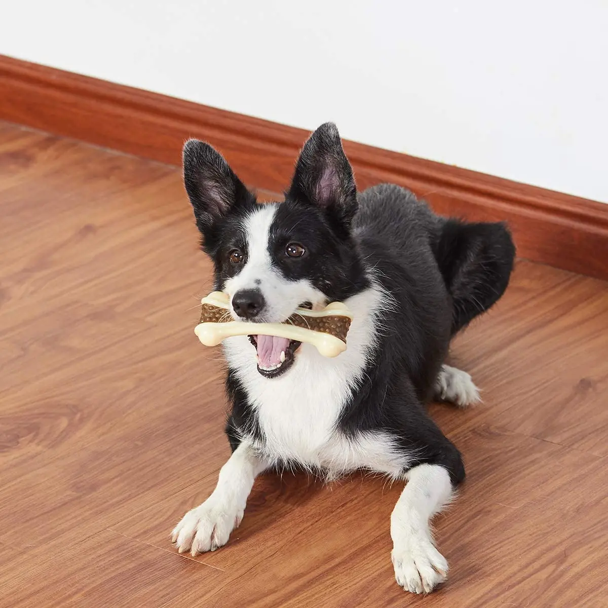 Eco-Friendly Beef Flavor Dog Teething Chew Toys Bones Pet Molar Food Toy Pet Chewing Feeding Toys