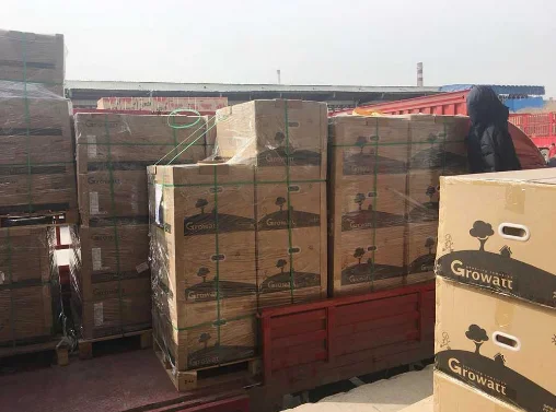 GROWATT 1Mw Solar Inverter 125kva Converter Price Exhibition EU Three Phase 120kw 110kva 100kwp MAX100K MAC PV Inverters