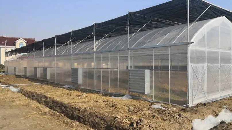 
200 micron uv resistant plastic film aluminum profile structure frame greenhouse plastic covering 