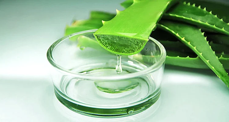 Wholesale Bulk 100:1 200:1 Organic Aloe Vera Powder Aloe Vera Gel Freeze Dried Powder