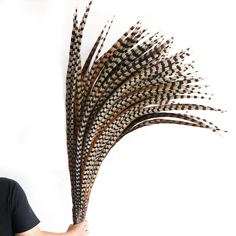 Wholesale Stock Selected Top Quality 20-150 cm Natural Long Ringneck Reeves Pheasant Tail Feathers large plumas