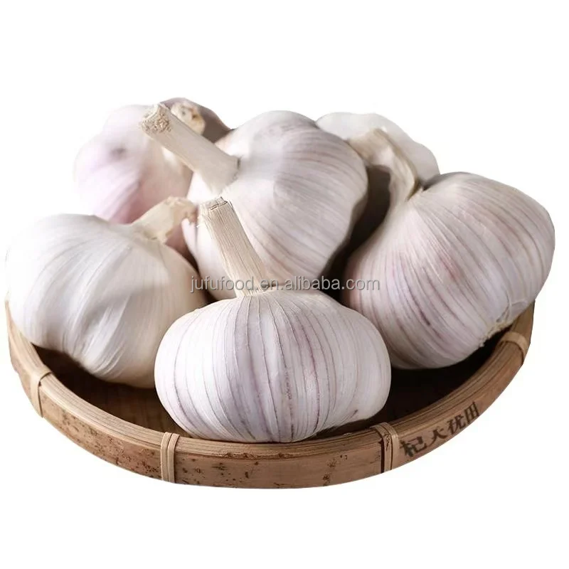FRESH GARLIC dried garlic good quality and fresh garlic export