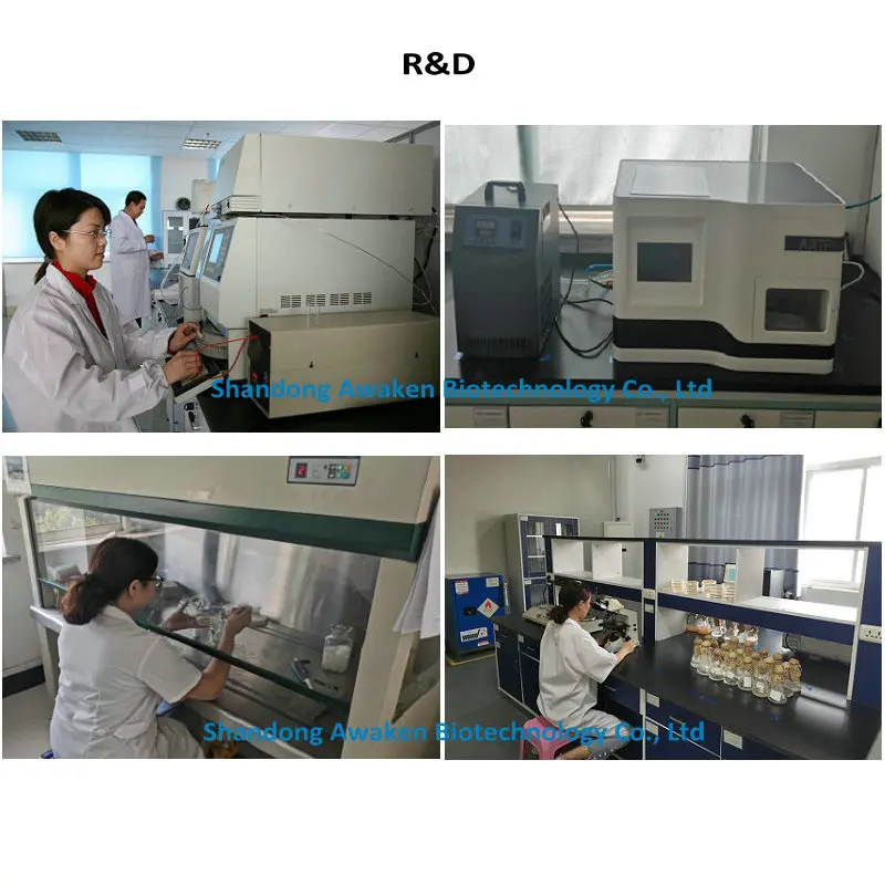 Cosmetic Grade Gamma PGA Powder CAS 25513-46-6 Polyglutamic Acid Food Grade