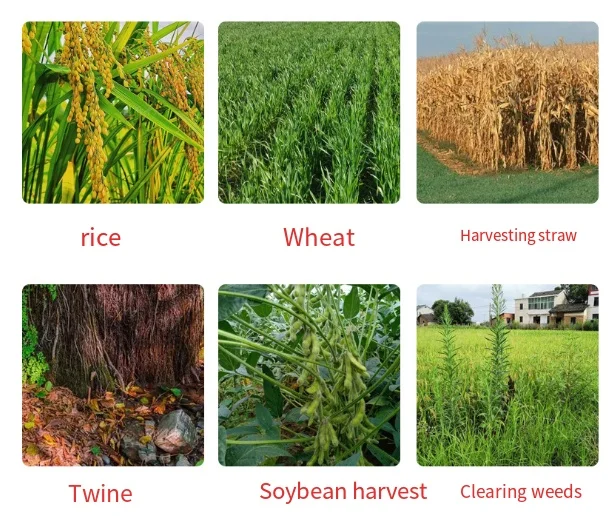 Grain Harvester  Hand Push   Corn Small Silage Harvester Sweet Corn Harvester