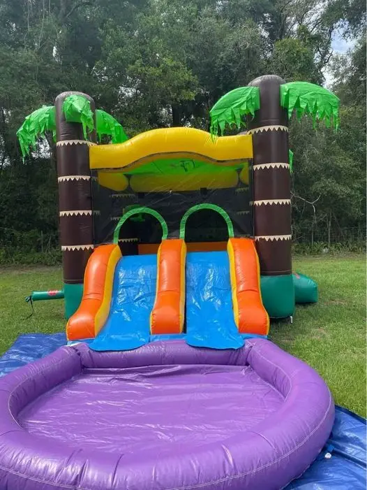 Newly Customized Design Inflatable Slide Inflatable Castle Slide Children Bouncy Castles for Kids and Adults