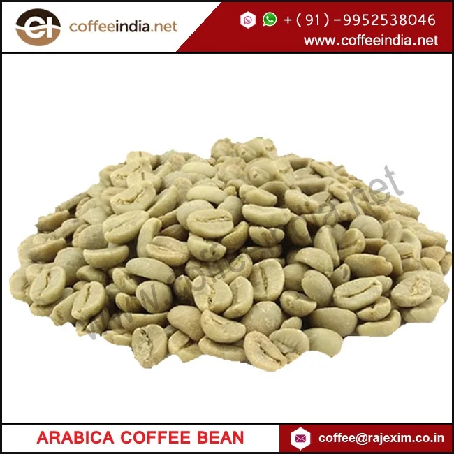 
Indian Robusta AA Coffee Bean 