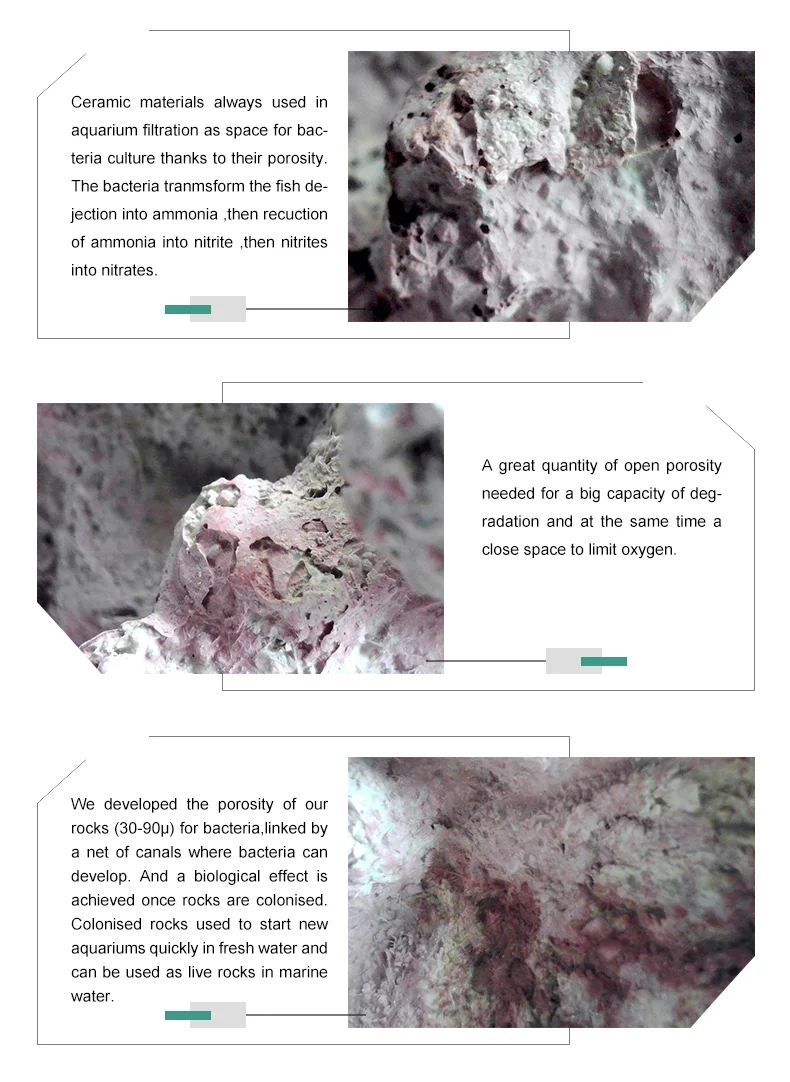 Factory Direct  Porous Aquascaping Rock for  Reef aquarium decoration  ZAR2002