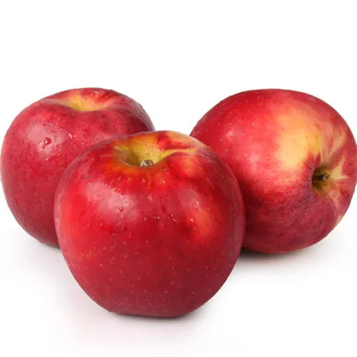 
 Прямая продажа с фермы, оптовая продажа, широкий выбор свежих яблок розы  