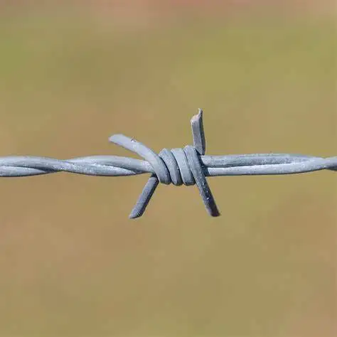 Barbed Wire Fencing Prices Single Fils Barbel Galvaniser Price Per Roll Kenya